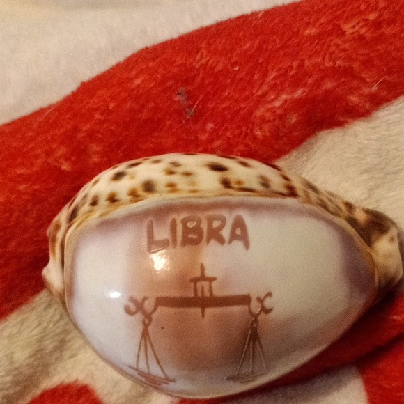 Libra Sea Shell - Picture 2 of 3